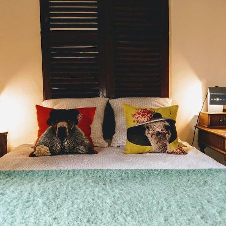 Maison D'Hotes "Les Volets Verts" Et Sa Brocante Ecueille Ngoại thất bức ảnh
