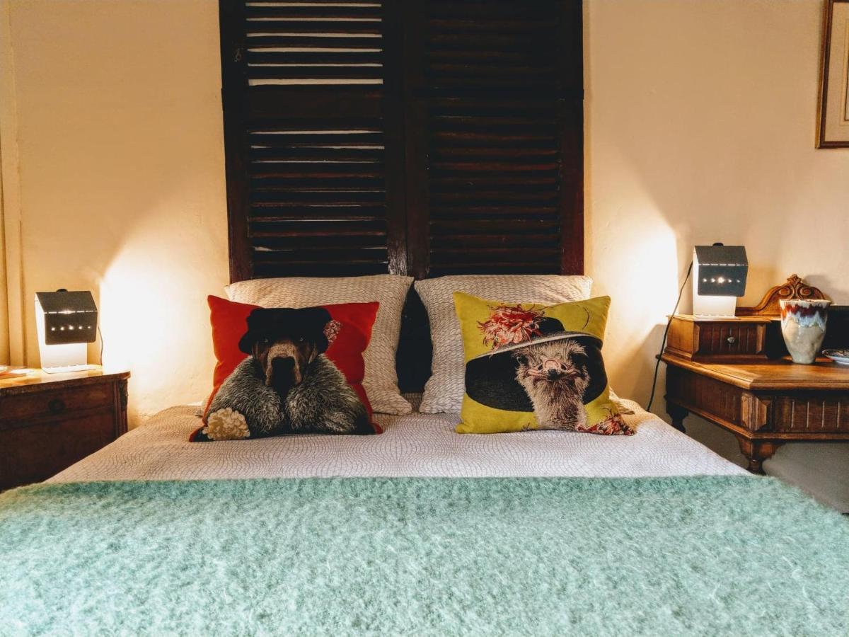 Maison D'Hotes "Les Volets Verts" Et Sa Brocante Ecueille Ngoại thất bức ảnh